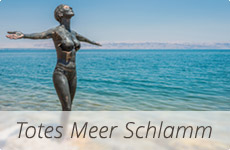 sidebar-schlamm